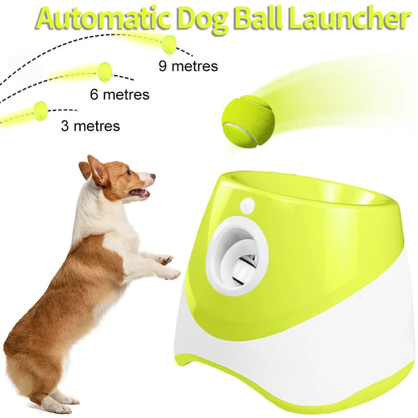 Fetch Fun Ball Launcher